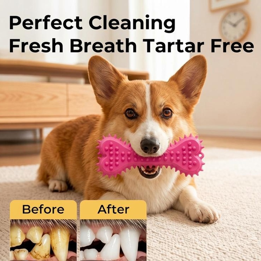 Teeth Cleaning Dog Chew Bone - 3/6pcs Chew Toys Dog Rubber Toothbrush