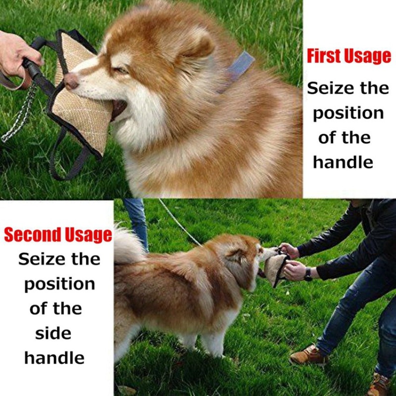 Durable Dog Training Bite Tug  - Interactive Squeaky Plush Dog Toy review and price