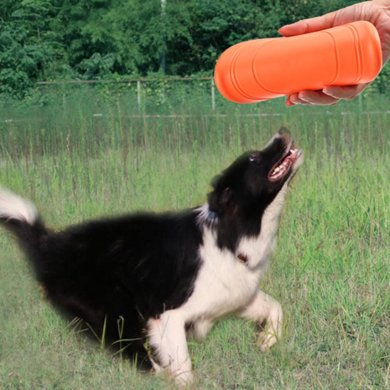 Chewable Soft Rubber Flying Di - Flying Disc Dog Training Toy review and price