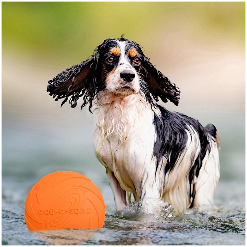 Interactive Silicone Flying Sa - Flying Disc Dog Training Toy review and price