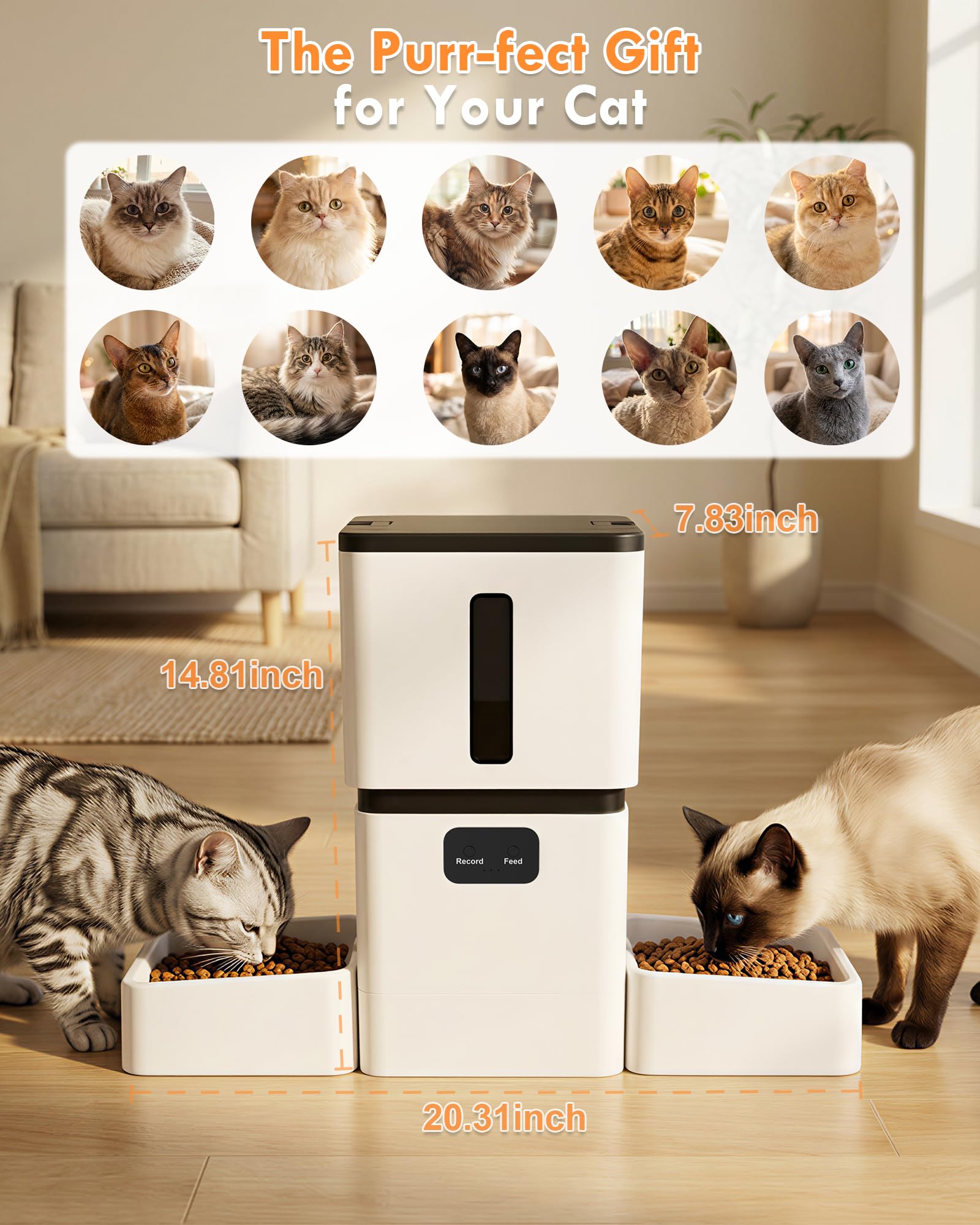 5GHz WiFi 8L Smart Automatic P - Pet Feeders review and price